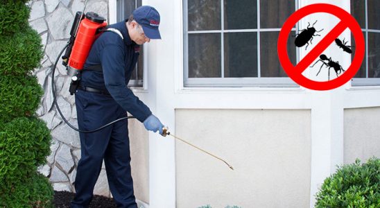 Bayramiç Bit İlaçlama böcek ilaçlama ve haşere kontrolü — ilaclama-tr.com